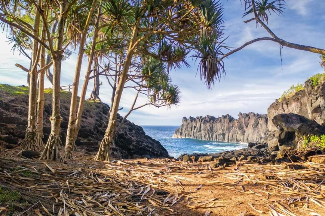 Villa La Fournaise 르탕퐁 외부 사진